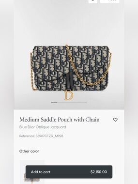 Dior Medium Pouch Saddle with Chain